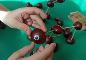 Dziecko przykleja ruchome oczy do swojego konika z kasztanów